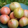 010草莓番茄  水果番茄  自然成熟 绿肩爆汁 皮薄肉沙 酸甜浓郁 晶莹果冻 内蒙古好物  孕妇小孩放心 商品缩略图7