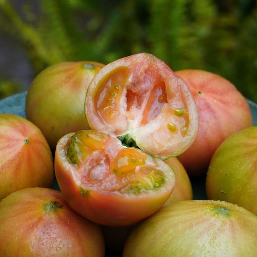 010草莓番茄  水果番茄  自然成熟 绿肩爆汁 皮薄肉沙 酸甜浓郁 晶莹果冻 内蒙古好物  孕妇小孩放心 商品图2