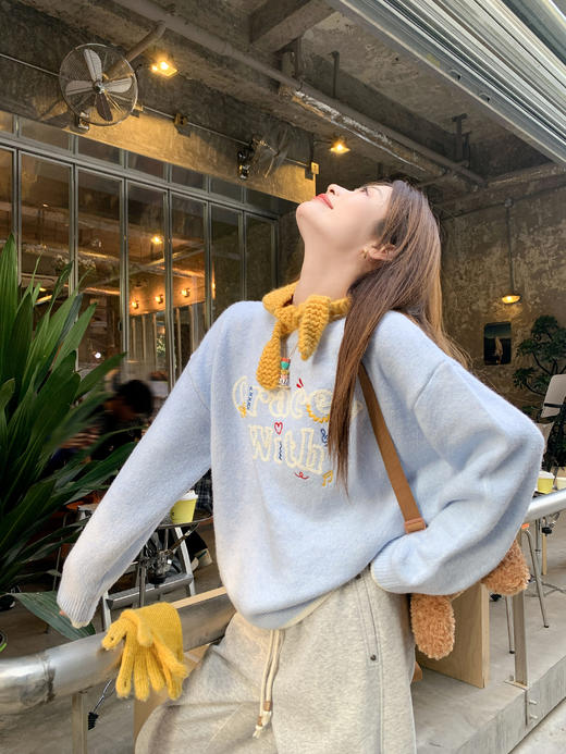 <曾小咸推荐>3.20现货秒杀 ！微信超特价！韩系字母刺绣毛衣 日常209.99 立减120 秒杀89.99！！ 商品图13