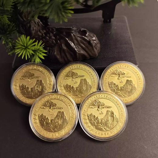 泰山文创十二生肖纪念币旅游纪念品装饰品 商品图2