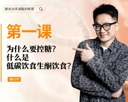 第1天： 为什么要控糖，什么是低碳饮食生酮饮食？ 商品图0