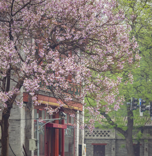4月7日【北京】春日皇城七百年繁华盛世5天（筑梦中国8人封顶） 商品图4