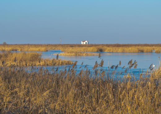 拍鸟专线·丹东鸭绿江口&营口鸟浪、石城岛屿黑面琵鹭’、大连城市风光6日摄影团 商品图4