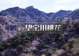 1日｜望宝川桃花｜百里丹霞千顷桃云の望宝川-东水峪桃花海环线10公里<初级>