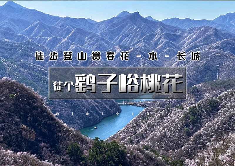 1日｜鹞子峪桃花｜春花·水·长城の鹞子峪-撞道口环线10公里<初级>