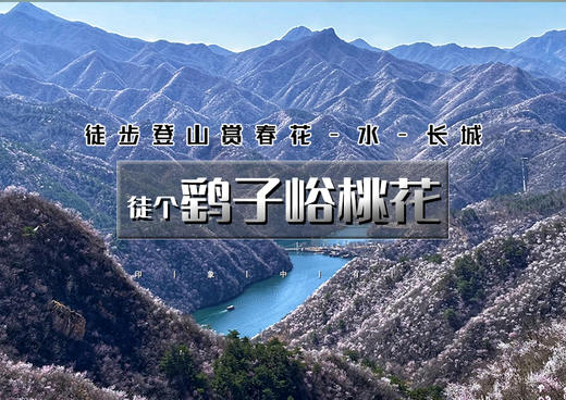 1日｜鹞子峪桃花｜春花·水·长城の鹞子峪-撞道口环线10公里<初级> 商品图0