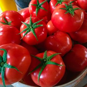 【普罗旺斯西红柿】果肉细沙厚实，一口飚汁，轻食减脂配餐，榨汁绝绝子，整个培育过程中保持不施化肥、🔥0膨大剂、0催红素，保证其最原始最纯真的样子自然生长