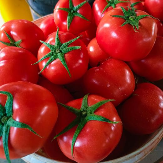 【普罗旺斯西红柿】果肉细沙厚实，一口飚汁，轻食减脂配餐，榨汁绝绝子，整个培育过程中保持不施化肥、🔥0膨大剂、0催红素，保证其最原始最纯真的样子自然生长 商品图0