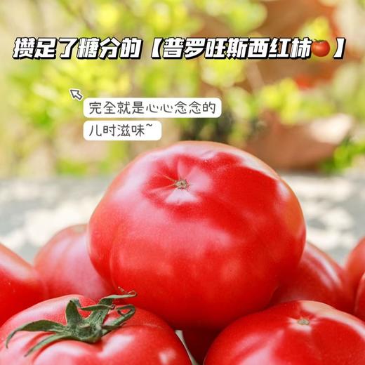 【普罗旺斯西红柿】果肉细沙厚实，一口飚汁，轻食减脂配餐，榨汁绝绝子，整个培育过程中保持不施化肥、🔥0膨大剂、0催红素，保证其最原始最纯真的样子自然生长 商品图2