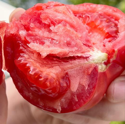 【普罗旺斯西红柿】果肉细沙厚实，一口飚汁，轻食减脂配餐，榨汁绝绝子，整个培育过程中保持不施化肥、🔥0膨大剂、0催红素，保证其最原始最纯真的样子自然生长 商品图7