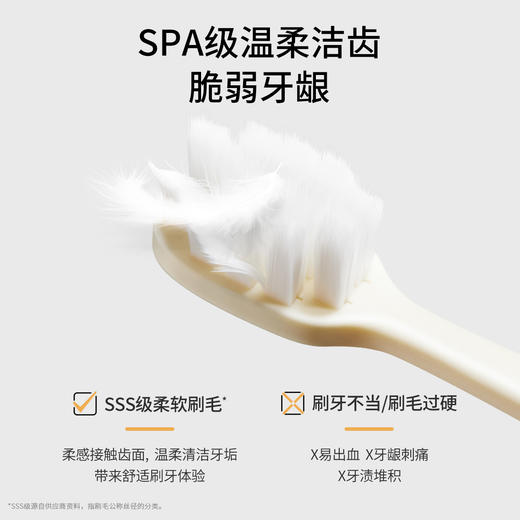 【软毛牙刷】宽幅刷头 细密柔丝 深入洁齿 柔丝软毛护齿牙刷2支装 商品图3
