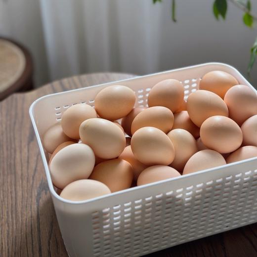【斌哥优选】九华山散养土鸡蛋。蛋白有弹性，蛋黄软。吃五谷长大，0抗生素，0激素。比普通鸡蛋小一点。冷藏保存。 商品图5