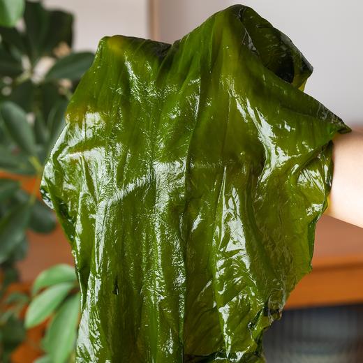 双有机盐渍海带|无污染海域采摘，泡发率高，凉拌、煲汤、涮火锅都鲜透了！ 商品图3