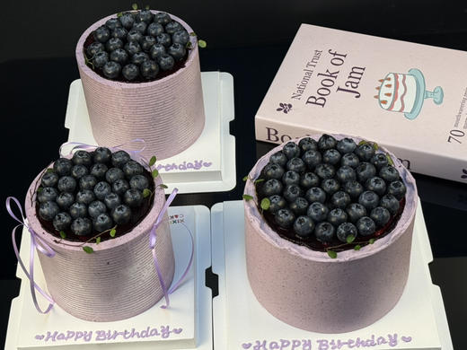 蓝莓森林 商品图6