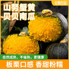 【顺丰发货】蟹黄贝贝南瓜 源头产地  露天种植自然成熟！！粉糯甜兼备香味浓！辅食代餐管理期必备！ 商品缩略图0