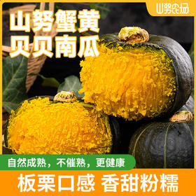 【顺丰发货】蟹黄贝贝南瓜 源头产地  露天种植自然成熟！！粉糯甜兼备香味浓！辅食代餐管理期必备！