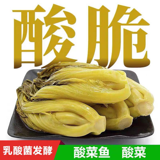 潮汕佬酸菜|严选好芥菜 采用潮汕传统腌制方法 清脆爽口 口感酸香 好吃又开胃-非即食【清明期间正常发货】 商品图1