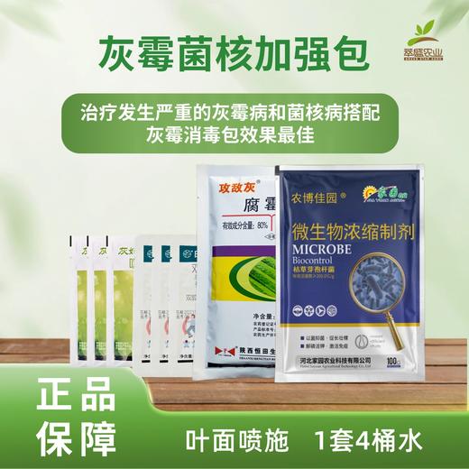 灰霉菌核加强包 商品图0