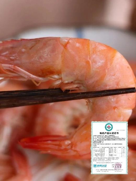 顺丰包邮，4盒送1盒到手5盒，渤海湾有机生冻盐田虾1年只有1季，一盒一码可溯源 活虾速冻 肉质弹甜 只需要白灼就非常好吃 顺丰基地直邮 商品图8