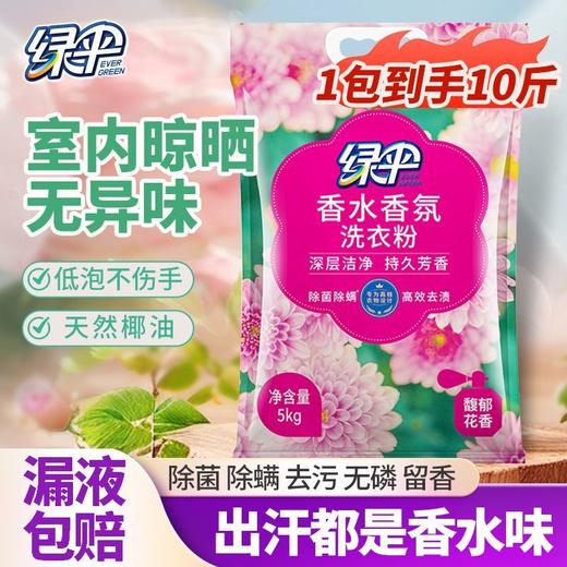 绿伞洗衣粉持久留香洗衣粉深层洁净衣物馥郁花香除菌除螨 商品图2