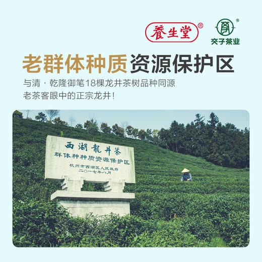 交子西湖龙井茶【125G*2 特级】礼盒装 商品图1