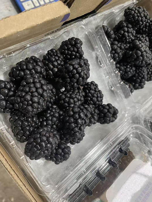 黑莓.花蝶香🦋 树莓一小盒 商品图2