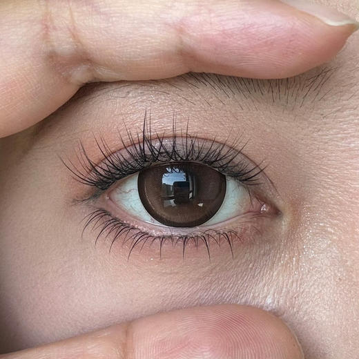 日抛 liliyacon 起司小猫 14.5 着色14.1【6片装】 商品图4