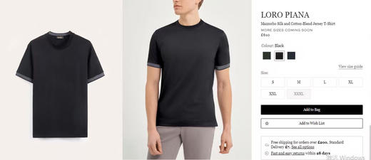 【3月20日 周末秒杀 直接调价 下单即可】Loro Piana  LP男士丝光棉 圆领 短袖 T恤（三色合集） 商品图4