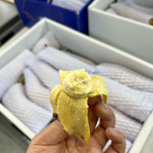 【海南树上熟佳丽蕉】小小个头，一口一根，超甜，超糯，超级香，闭眼入的小香蕉 商品图1