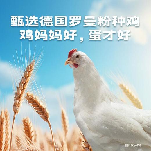 圣迪乐可生食鸡蛋15枚/盒 商品图1