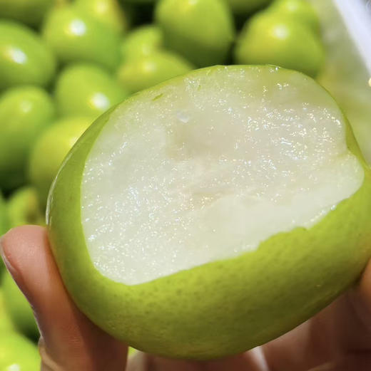 贵妃牛奶枣 来啦 贵妃牛奶枣 低糖水果 清甜多汁 奶香奶香的  咬一口嘎嘣脆 商品图0