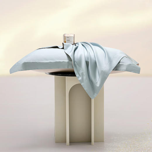 罗莱 TG 柔纱序曲100支全棉贡缎四件套 商品图5