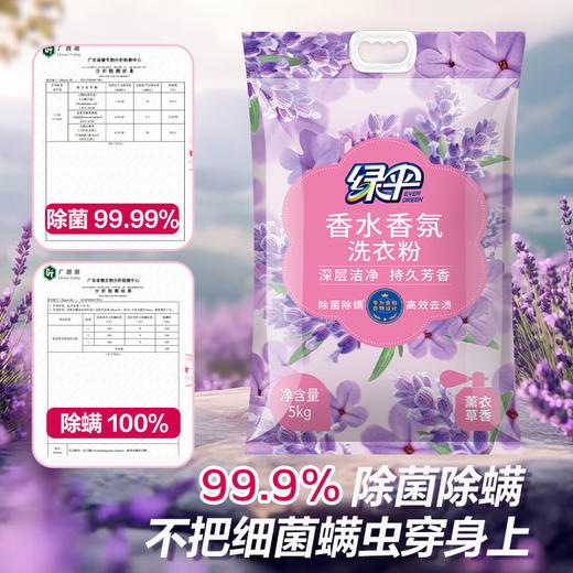 绿伞除菌除螨薰衣草深层去渍洗衣粉持久留香家庭装 商品图3
