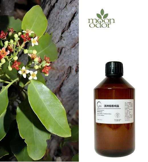 纯露：澳檀、阿曼绿乳香、茶树、桂花、九品香水莲、苦橙花、沉香、紫苏、矢车菊【芳香026】 商品图0