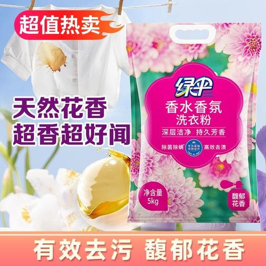 绿伞洗衣粉持久留香洗衣粉深层洁净衣物馥郁花香除菌除螨 商品图4