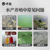 【社群专享】华畜千亿净水芽孢 分解残饵粪便 降氨氮亚盐 处理水草挂脏 控制青苔蓝藻 商品缩略图3