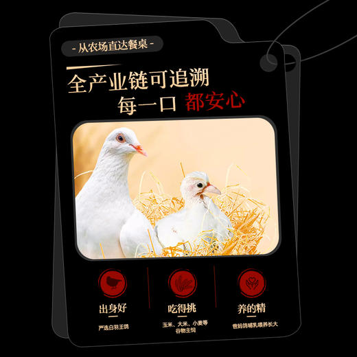 家味康光明乳鸽五香味
（袋装）175g 商品图2