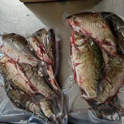 密云水库 || 野生鲫鱼（3斤/份5-8条，大的3-5条），处理干净后约2.5斤，冷鲜发货，味道鲜美，没有泥腥味 商品图6