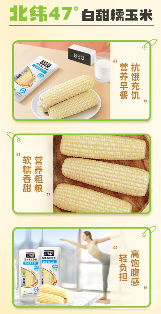 北纬47度白甜糯玉米230g*8支装  JCT 商品图2