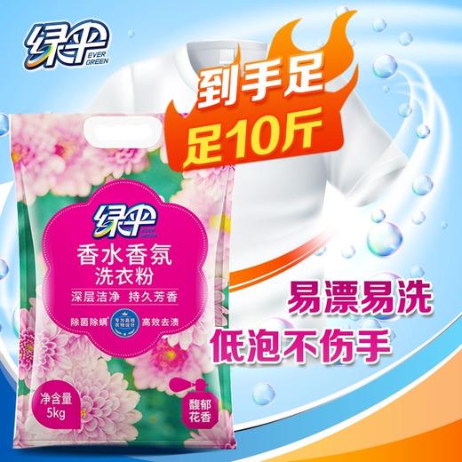 绿伞洗衣粉持久留香洗衣粉深层洁净衣物馥郁花香除菌除螨 商品图8