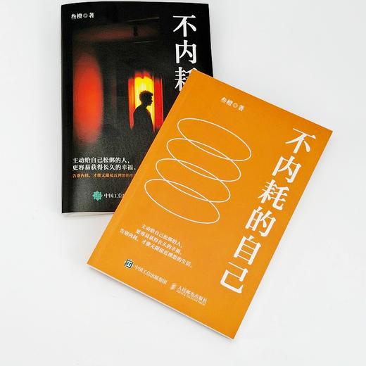 不内耗的自己 叁橙著 反焦虑心理学书籍拆掉看不见的墙 商品图1
