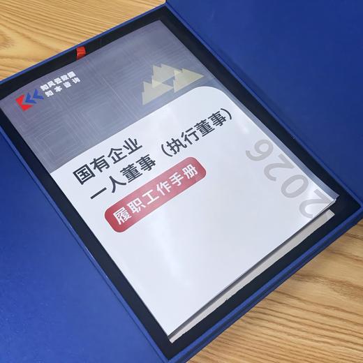 国有企业一人董事（执行董事）履职工作手册 商品图4