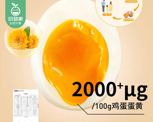 姥家来叶黄素鸡蛋/1盒（12枚，约500g）生产日期：4月12日左右 商品图2