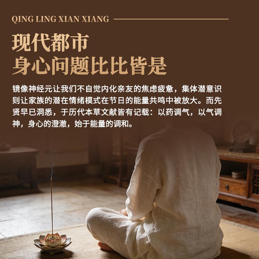 清灵线香——医馆大夫出方，清灵守心，能量调神！一桶约20g（48根左右） 商品图3