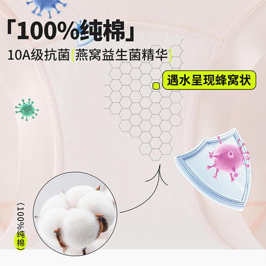 【樱姿娜-中腰】莫代尔加长裆女士内裤-WL80064 商品图2