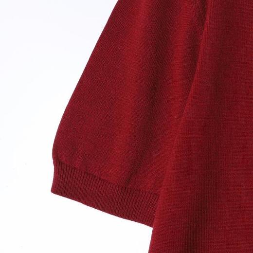 26MY02SDSA男装2026新款高贵轻奢时尚简约翻领针织短袖T恤百搭时尚上衣 商品图3