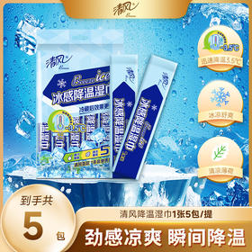 【官方自营】清风运动降温湿巾5包/提