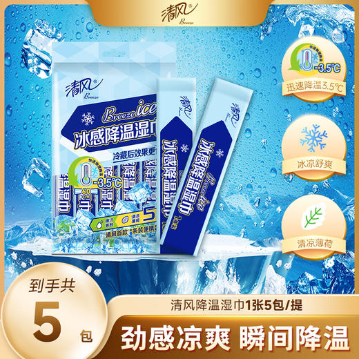 【官方自营】清风运动降温湿巾5包/提 商品图0