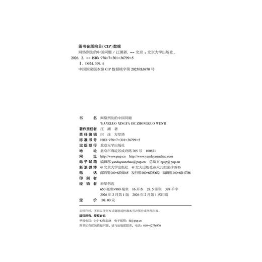 网络刑法的中国问题 商品图3