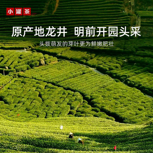 【新品春茶】小罐茶银罐绿茶2026新茶特级龙井绿茶15罐礼盒装 商品图3
